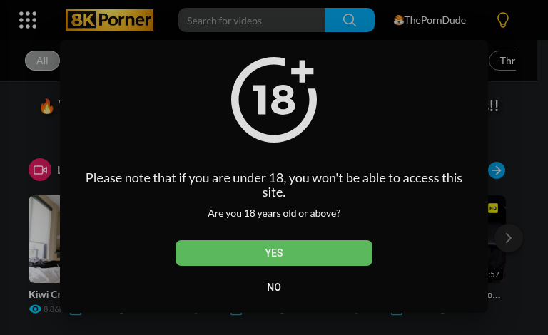 8kPorner Review 2025 Best Free Tube for Long, High-Quality Porn Videos letporno